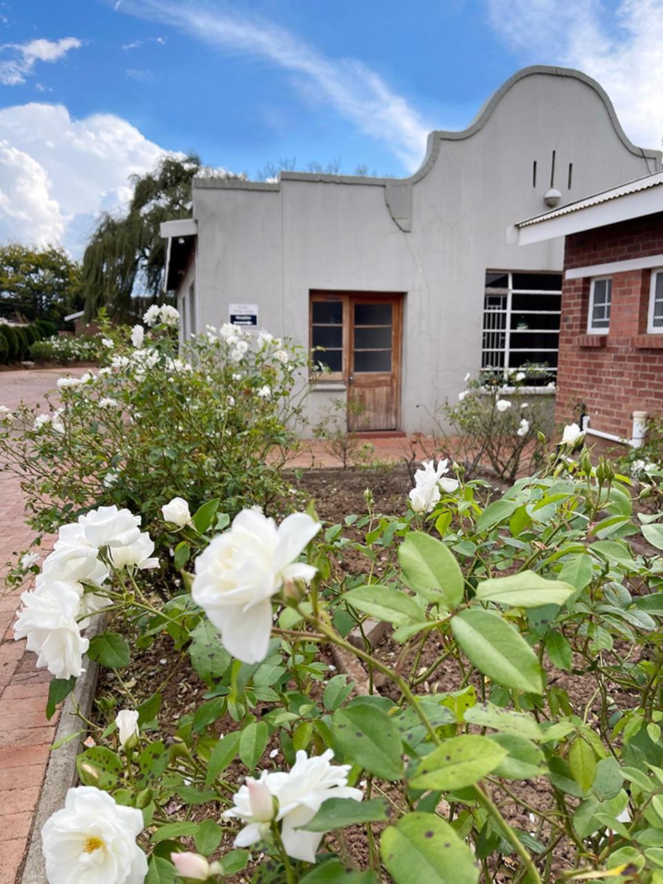 Village Lodge Harrismith Exterior photo