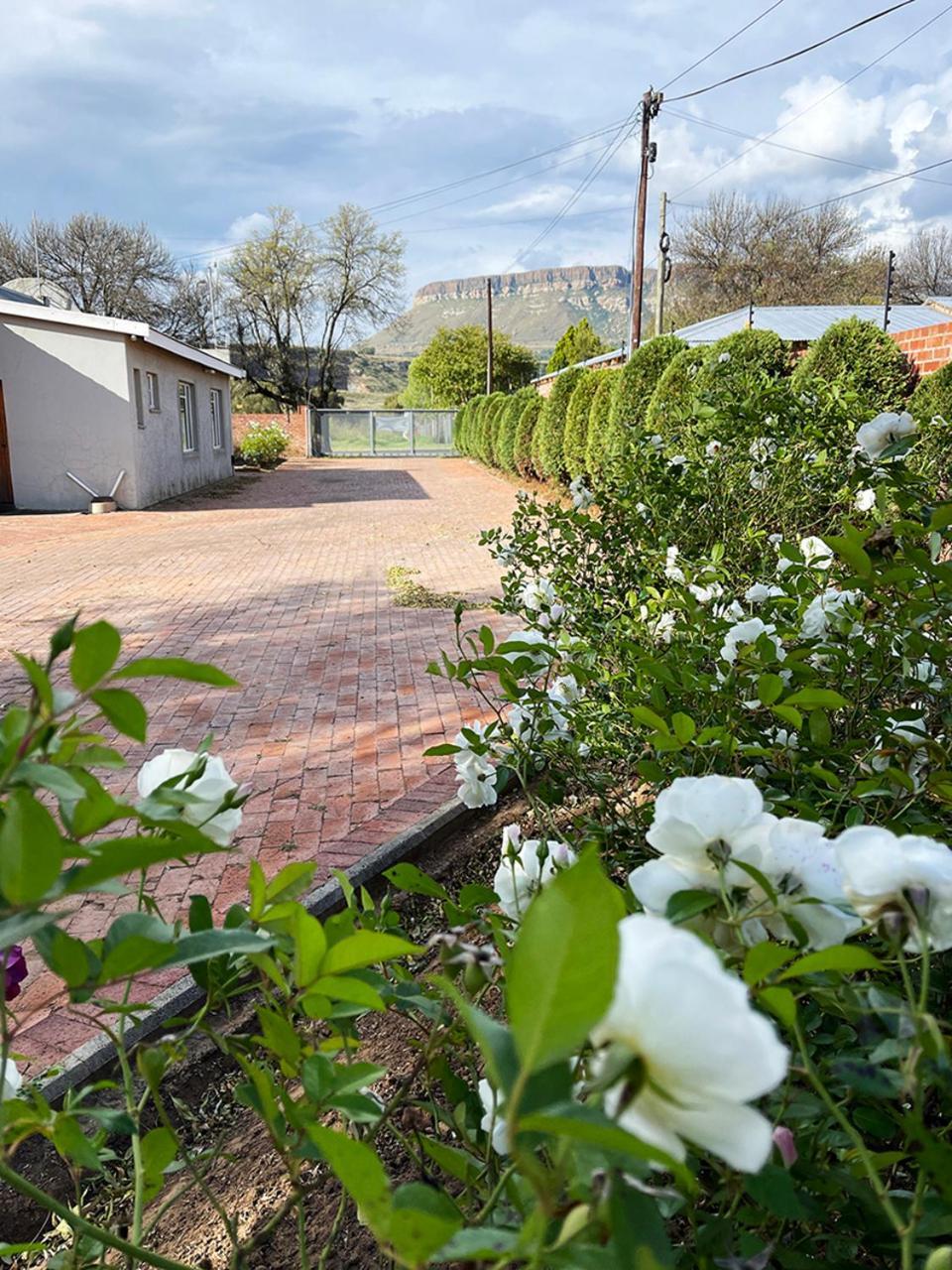 Village Lodge Harrismith Exterior photo